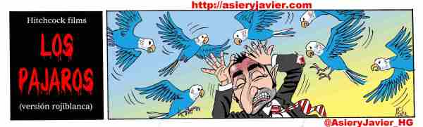 El Athletic de Bilbao y... ¡Los pájaros!. Más de 15 años sin ganar en el campo del Espanyol de Barcelona. Fútbol. Humor gráfico. El Athletic de Bilbao y... ¡Los pájaros!. Más de 15 años sin ganar en el campo del Espanyol de Barcelona. Fútbol. Humor gráfico.