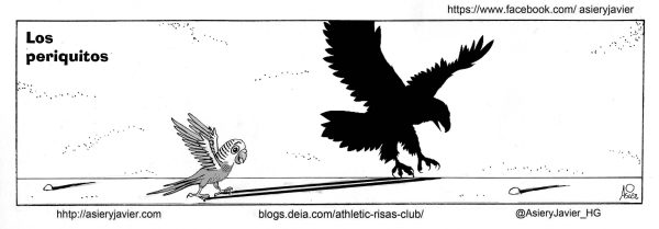 Los periquitos fueron unos pájaros de cuidado en San Mamés. Athletic, Bilbao, Humor, Viñeta.