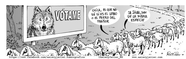 Pocas diferencias entre los candidatos en las elecciones